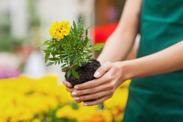 Landscaping London | Professional Landscaping Services Near Me
