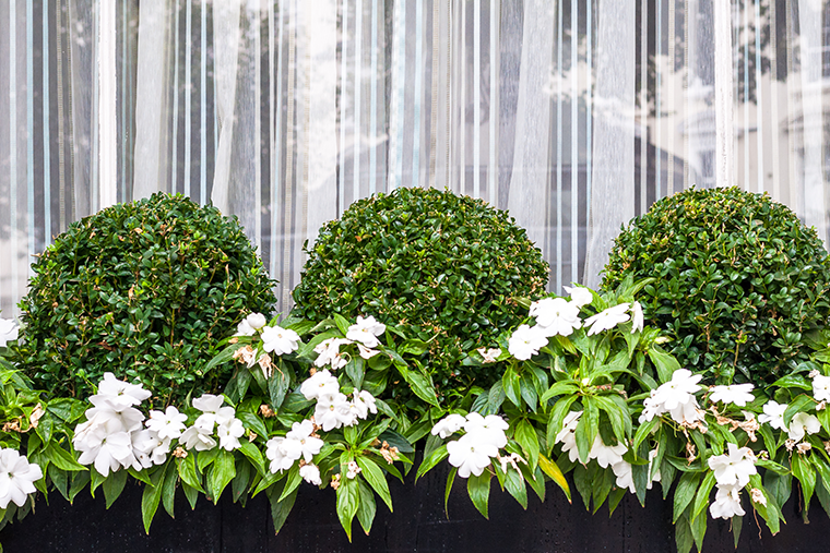 Landscaping London | Professional Landscaping Services Near Me