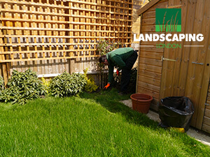 Trellis Installation in London - In Progress